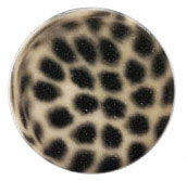 luipaard beige